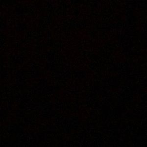 Meet your Posher, Lola